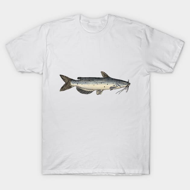 Channel Catfish (Juvenile) T-Shirt by FishFolkArt